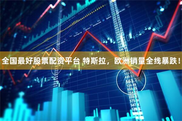 全国最好股票配资平台 特斯拉，欧洲销量全线暴跌！