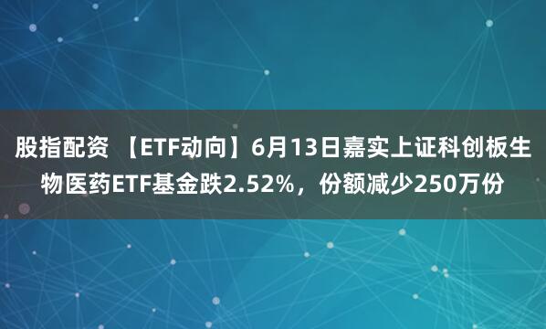 股指配资 【ETF动向】6月13日嘉实上证科创板生物医药ETF基金跌2.52%，份额减少250万份