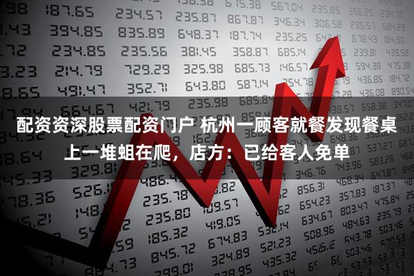 配资资深股票配资门户 杭州一顾客就餐发现餐桌上一堆蛆在爬，店方：已给客人免单