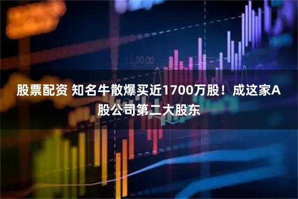 股票配资 知名牛散爆买近1700万股！成这家A股公司第二大股东